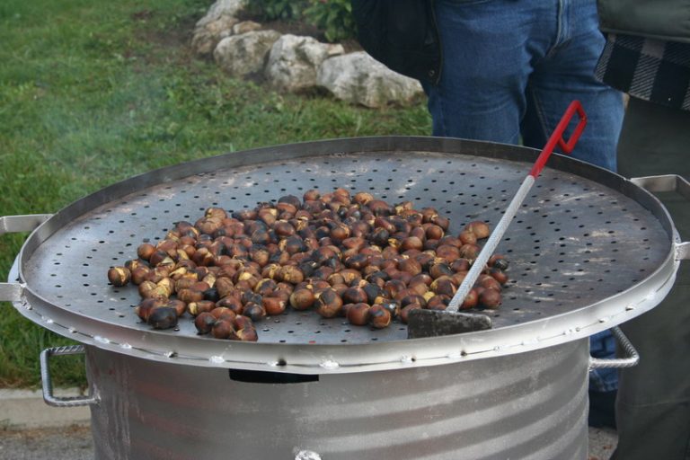 Kestenijada 2008. godine